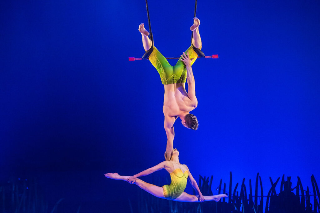 Trapezio a coppia fisso