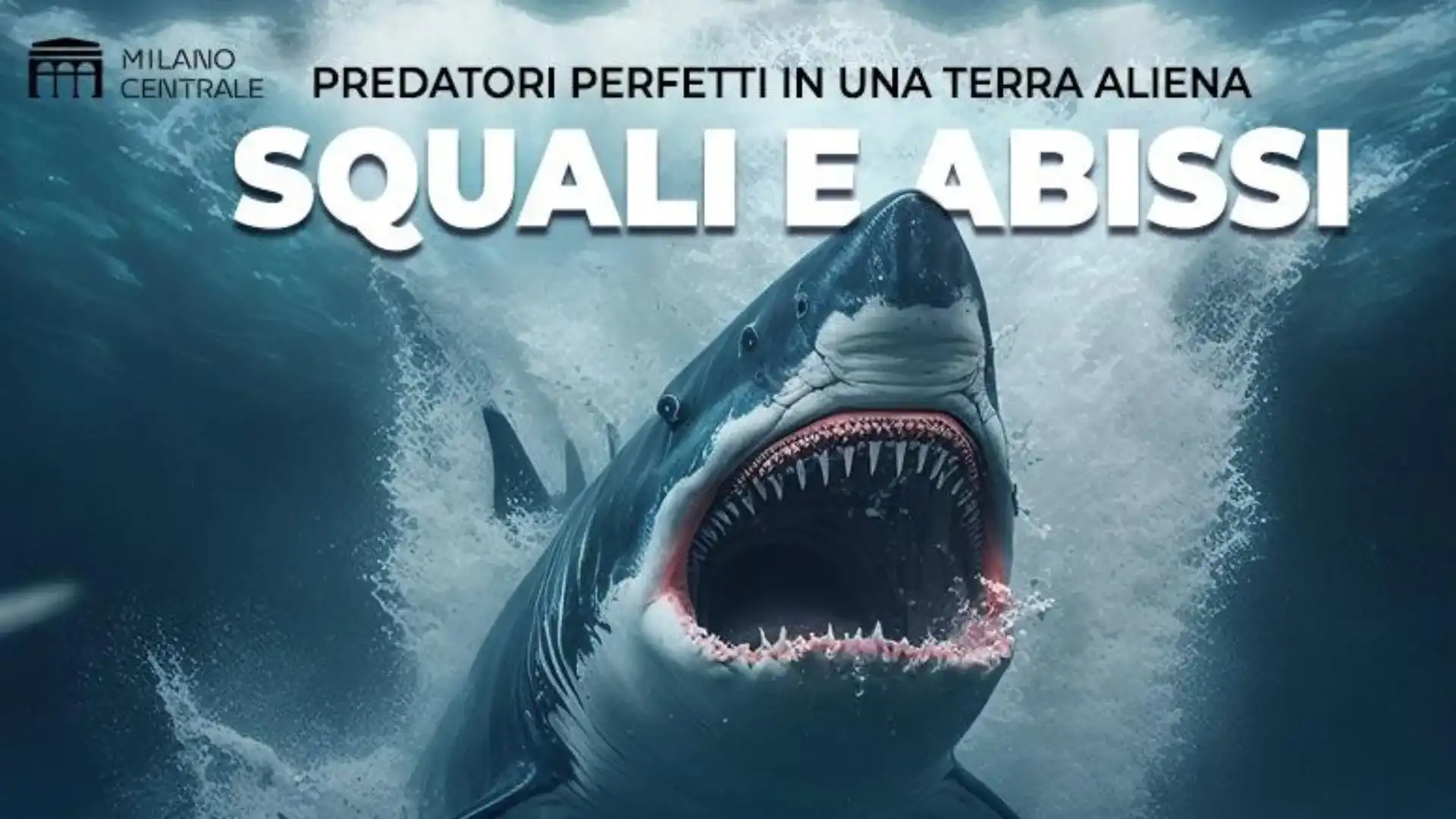 Squali e Abissi