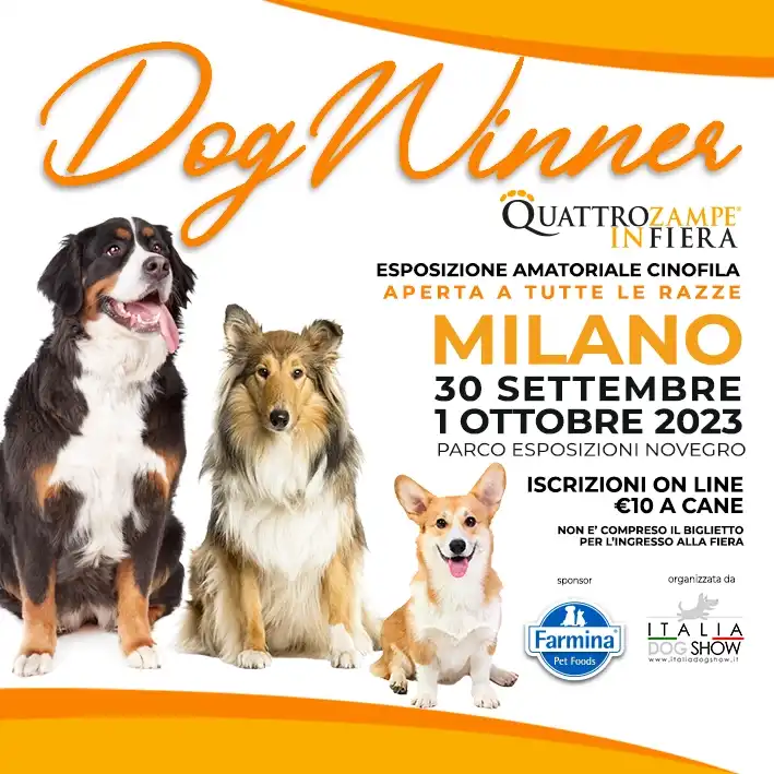 Quattro Zampe in Fiera