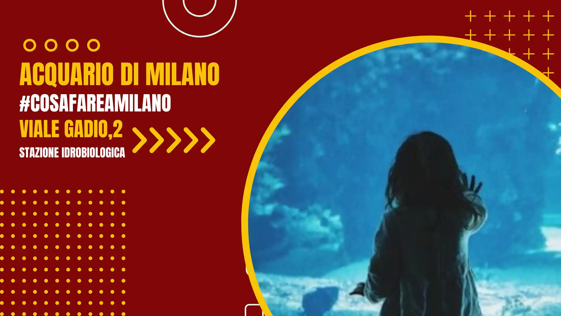 Un tuffo nella meraviglia: l'Acquario Civico di Milano