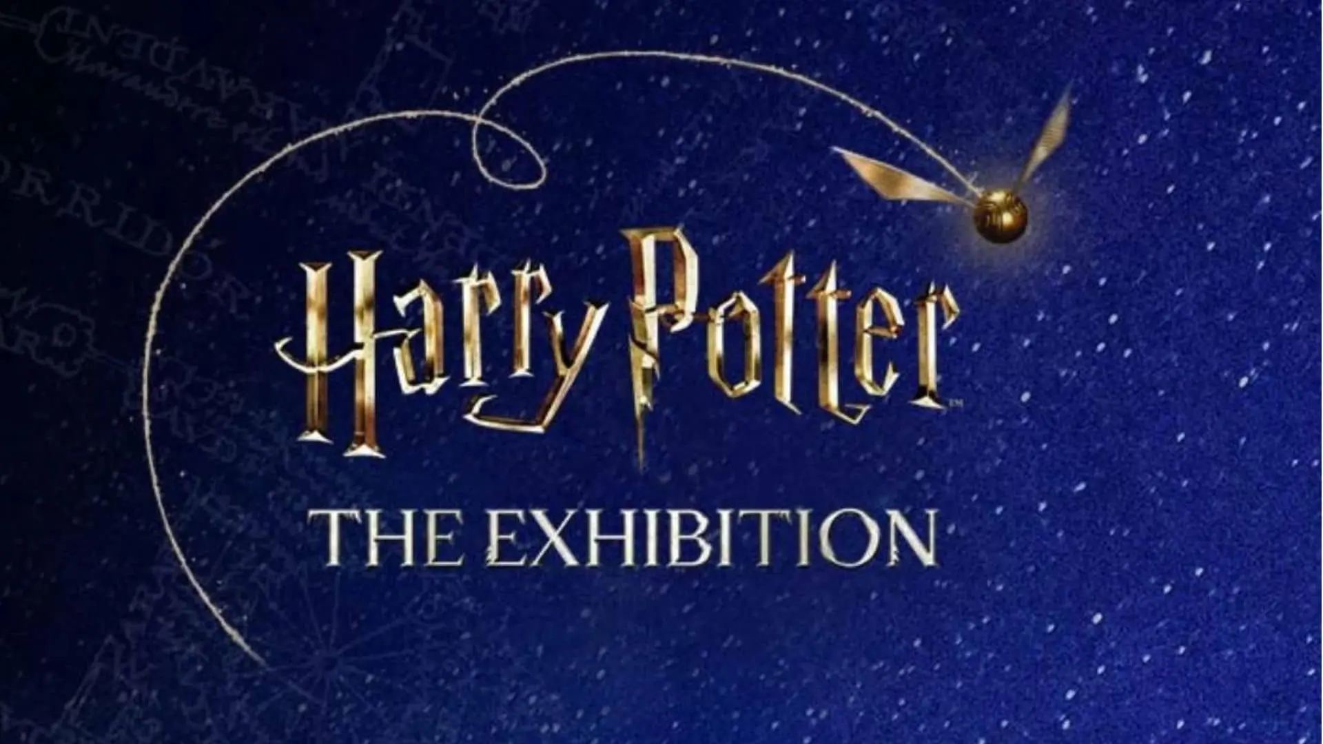 Harry Potter Milano