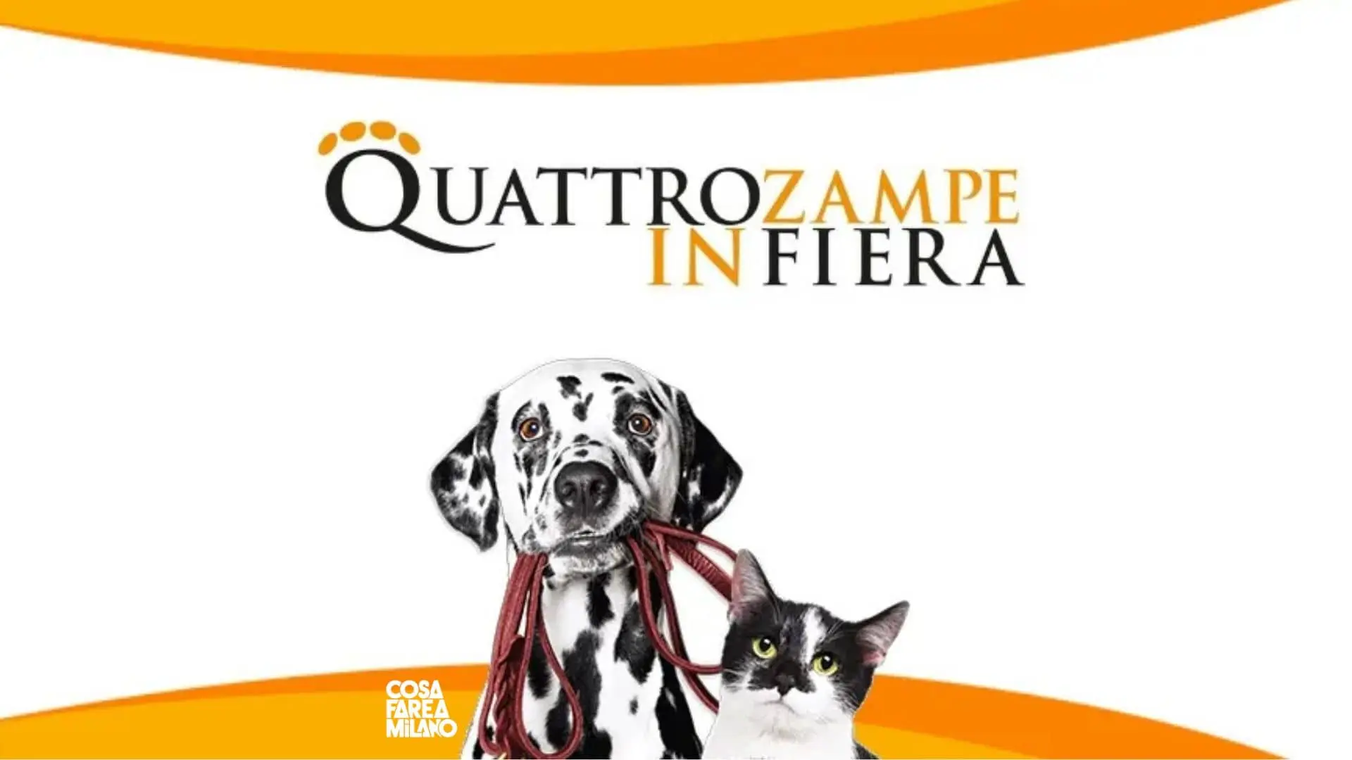 Quattro Zampe in Fiera